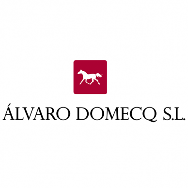 Bodegas Alvaro Domecq Veragua Reserva Brandy de Jerez 0,7L 1