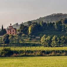 Castello Bonomi Cruperdu Franciacorta Brut DOCG 2018 JEROBOAM