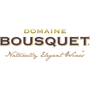 Domaine Bousquet Reserva Cabernet Franc Tupungato Mendoza 2020 0,75L 3