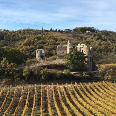 Crozes-Hermitage Rouge Les Pierrelles