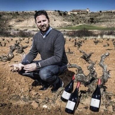 Dominio de Atauta Ribera del Duero DOCa 2019 0.75L  5