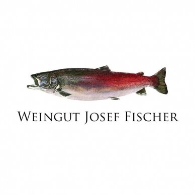 Josef Fischer Riesling Rossatz Federspiel Wachau DAC 2021 0,75L 1