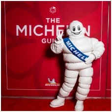 Michelin gido istorija