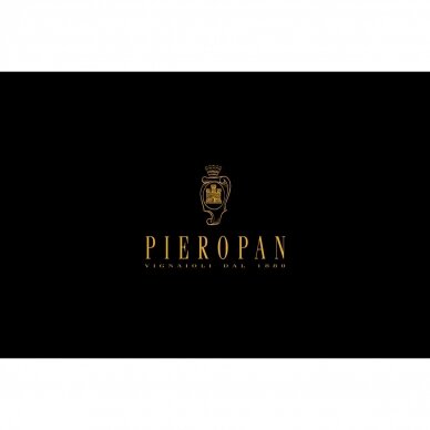 Pieropan Calvarino Soave Classico DOC 2020 MAGNUM 1,5L 4