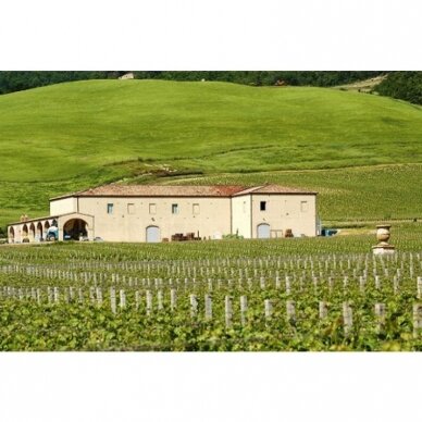 Tenuta di Trinoro Le Cupole Toscana IGT 2019 0,75L 2